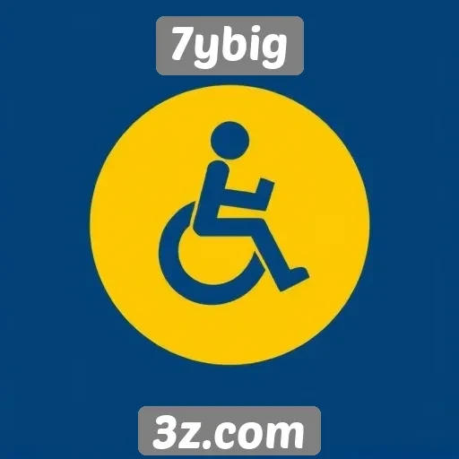 Estudo sobre a acessibilidade no site 7ybig